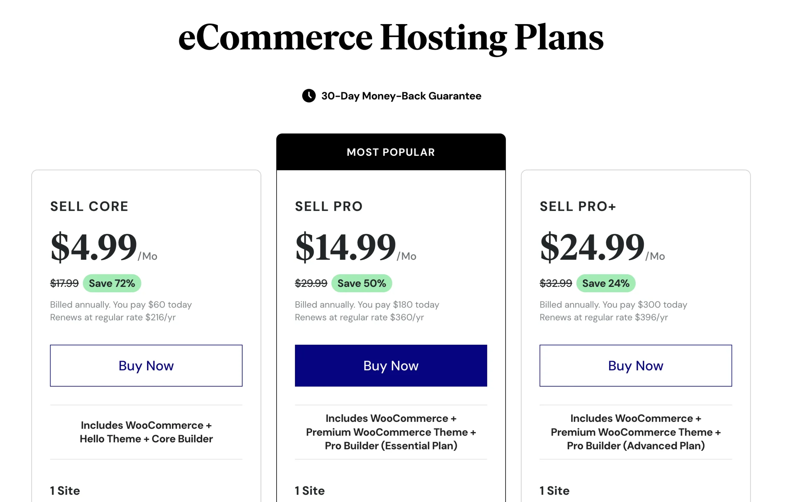 Elementor Hosting Review: My Experience with Their WordPress Hosting Services 5 eCommerce hosting plans
